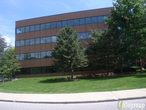 Management Information Disciplines