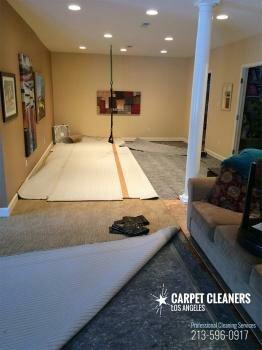 Carpet Cleaners Los Angeles