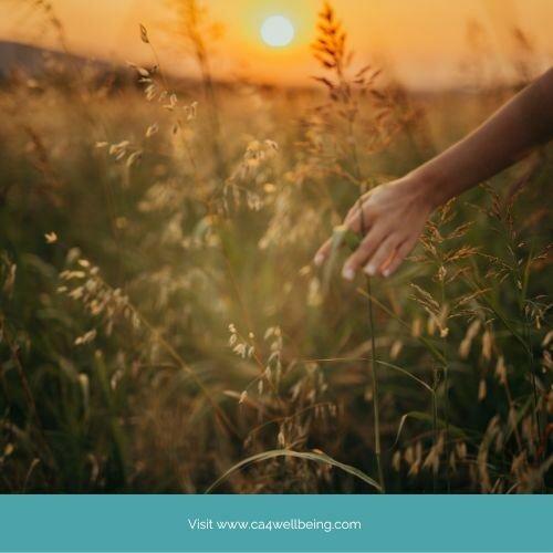 Athens Counseling & Psychotherapy