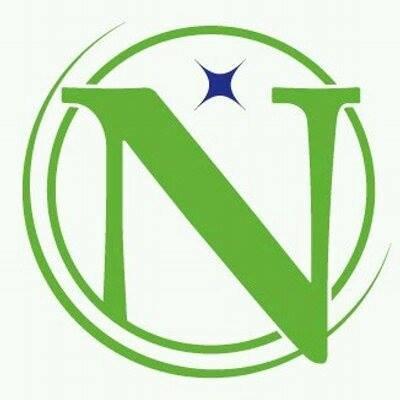 Northern Insurance Group
