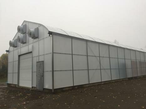 BW Greenhouse