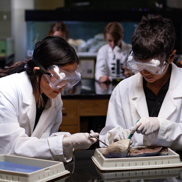 Country Day World School - Largo