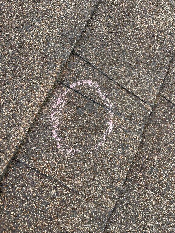 Absolute Restorations