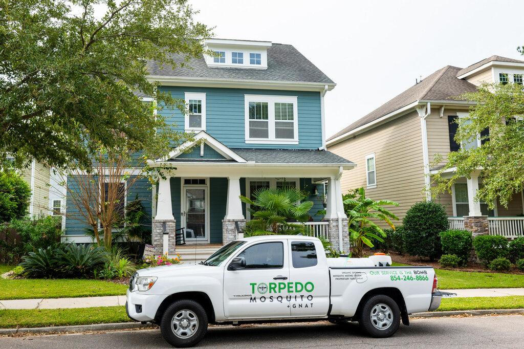 Torpedo Mosquito + Gnat