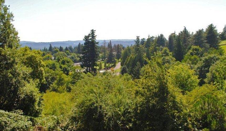 Commons-Sylvan Highlands