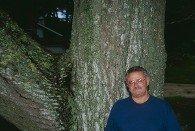 Schwartz Tree & Landscape