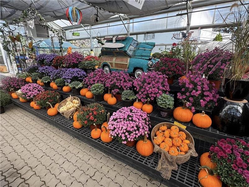 Schroeder's Garden Center, Landscape & Drainage Supply