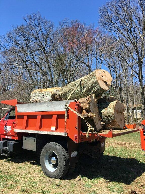 Staples Tree Service LLC