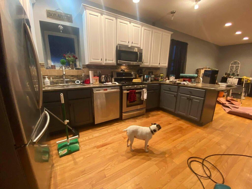 Alltech1 Painting and Services