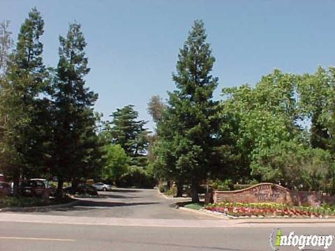 Denisse Montalvo, DDS - Dynamic Dental