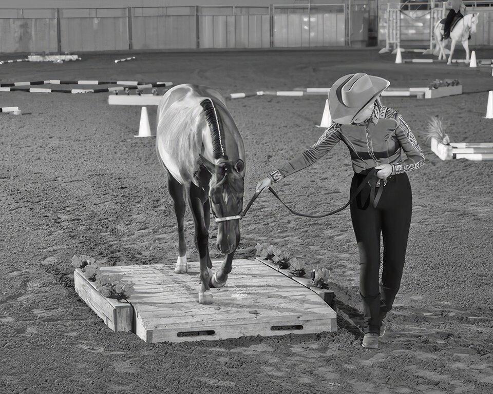 Champion Farms