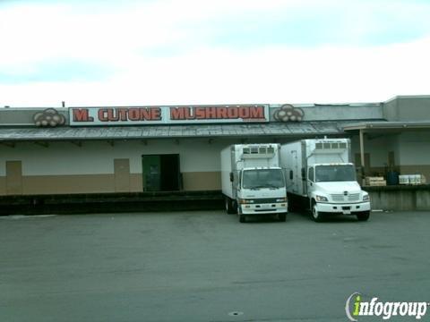 Mario Cutone Mushroom Co Inc