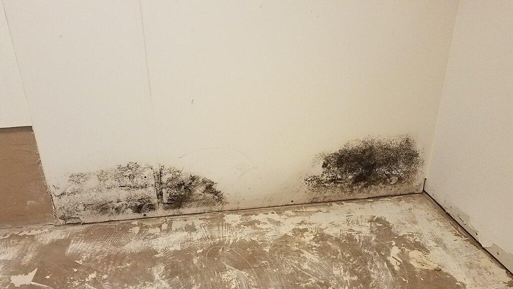 SERVPRO of North East Chester County