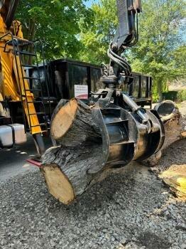 A Cut Above Tree Service