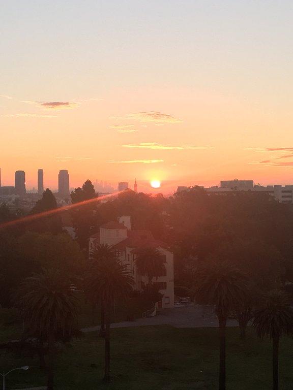 Law Offices of Robert M Klein