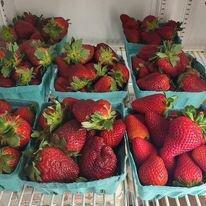 Butler's Farm Market and Orchard