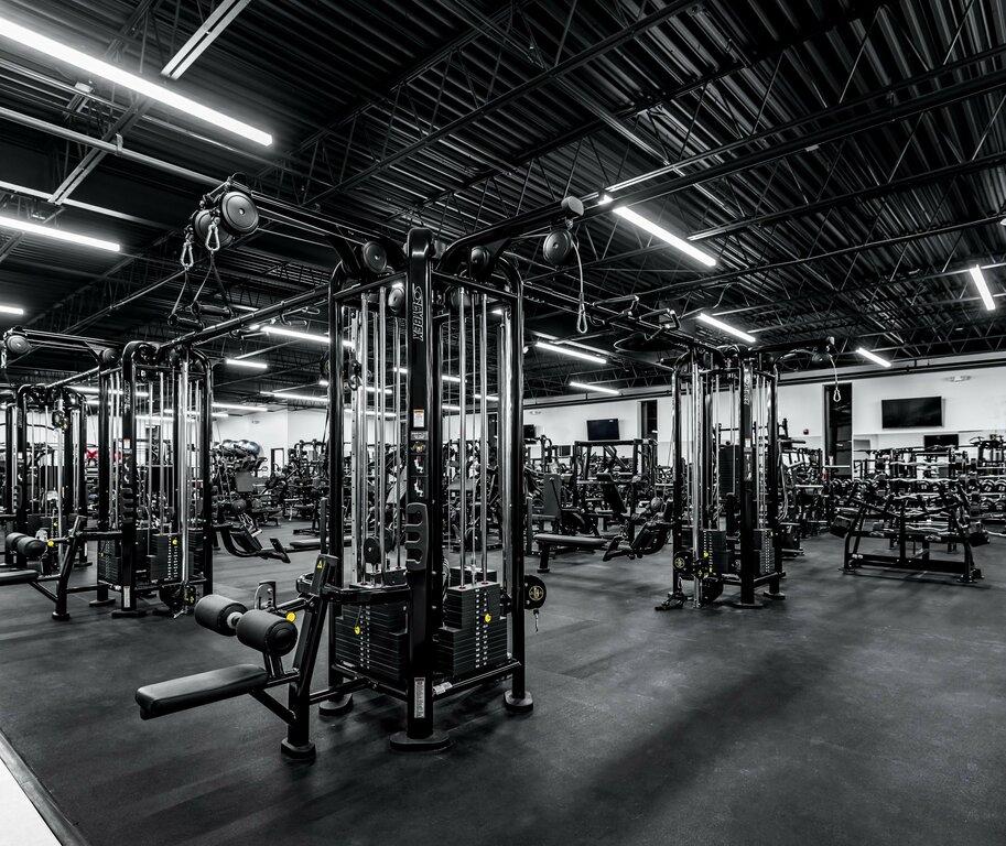 Iron Culture-Cedar Knolls