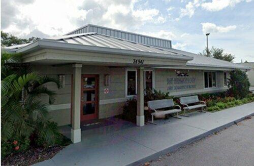 Bay Dermatology and Cosmetic Surgery- Largo