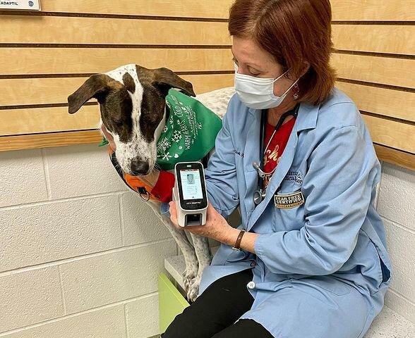 Animal Medical Center of Mid-America - St. Louis City