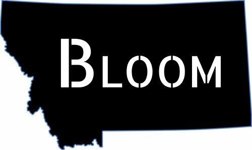 Bloom