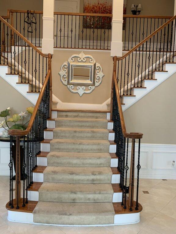 Elite Green Carpet Cleaning