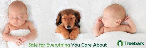 Treebark Termite & Pest Control