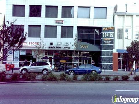 Paragon Language Services