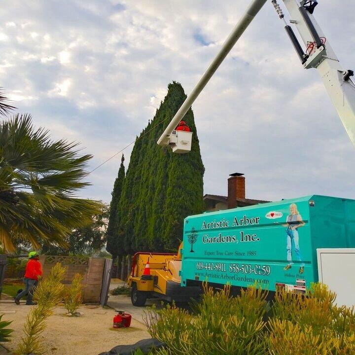 Artistic Arbor Gardens Inc