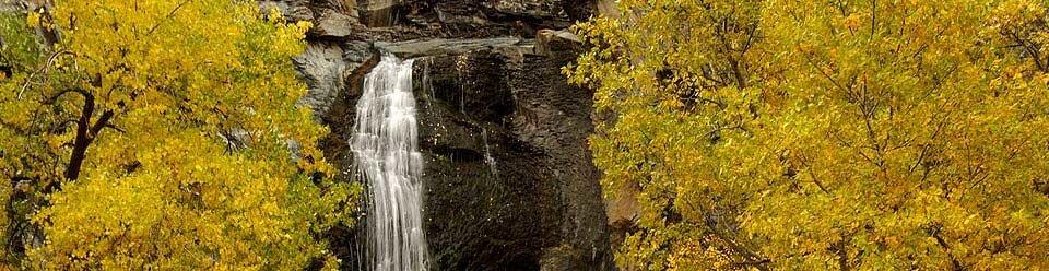 David Peterson, Realtor, Specialty Properties Real Estate