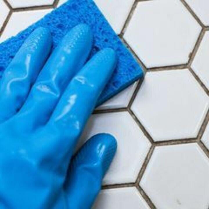 Mammoth Cleaners Inc