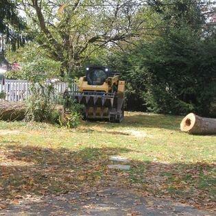 Tri-Cities Tree Service-Cabin Fever