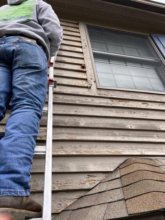 Mayhem Bat Control and Nuisance Animal Trapping