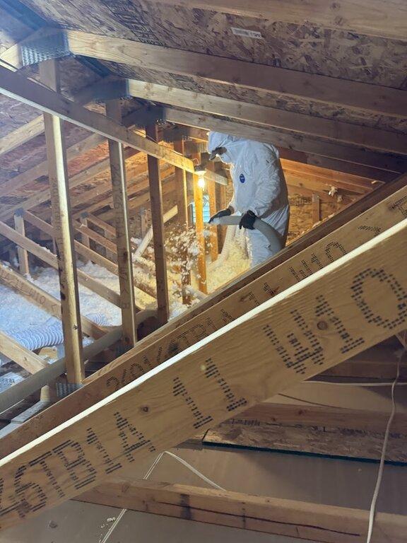 Hamilton Handyman Services