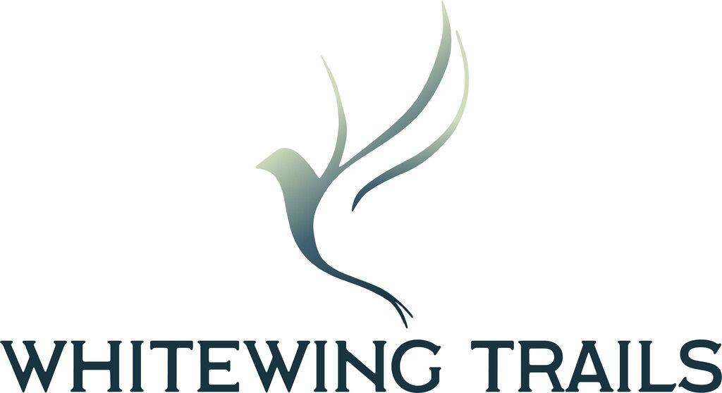 Whitewing Trails By Trophy Signature Homes