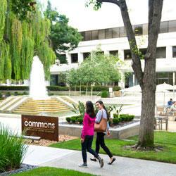 Silicon Valley Center