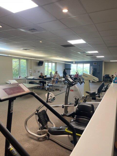 Vista Physical Therapy