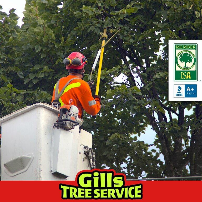 Gills Tree Service