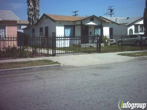 Import Export Executive