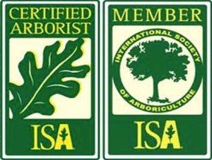 SB Tree Service LLC