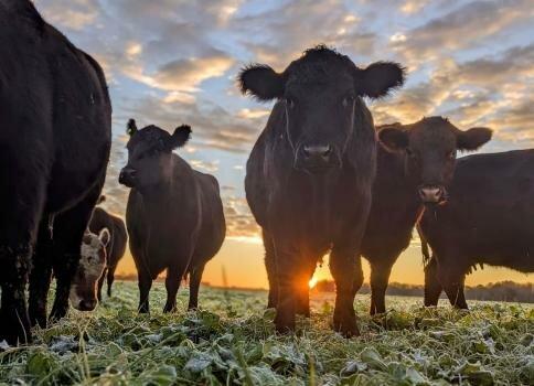 Barefoot Farm Produce