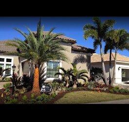 Oasis Palms and Landscaping