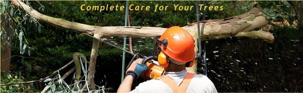 Pema Tree Service Inc