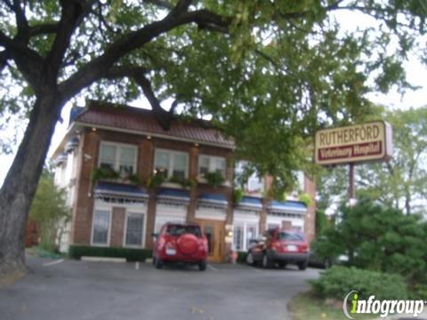 Kerry E Young, DVM - Rutherford Veterinary Hospital