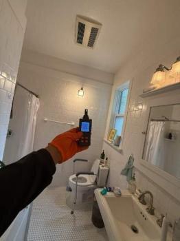 Fast Mold Testing-Seattle