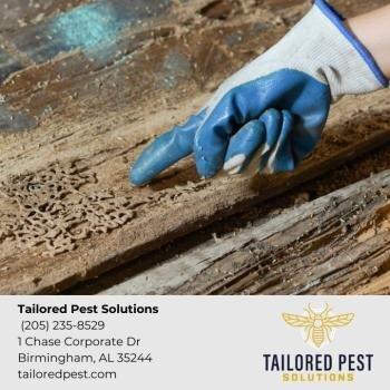 Tailored Pest Solutions