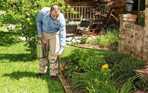 Frontier Pest Control