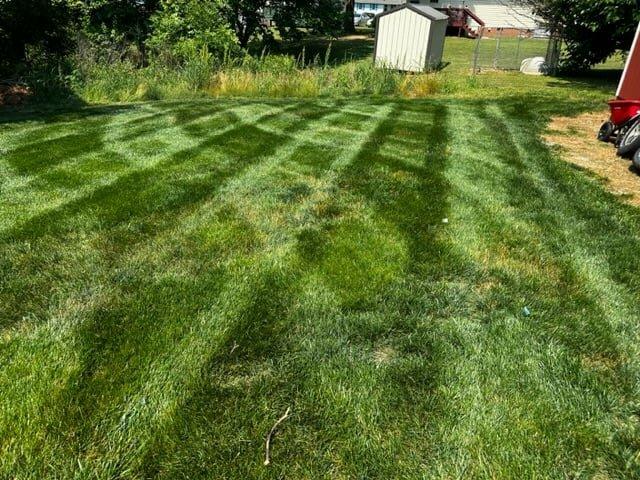 Lowe's Lawn and Landscaping