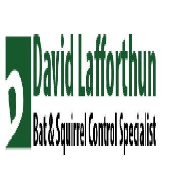 Lafforthun David W