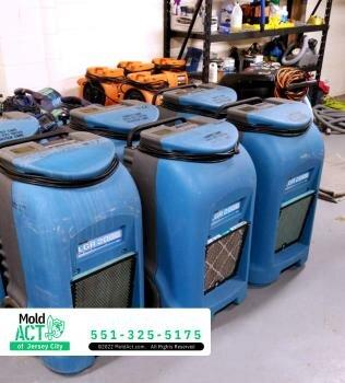 Mold Act of Jersey City