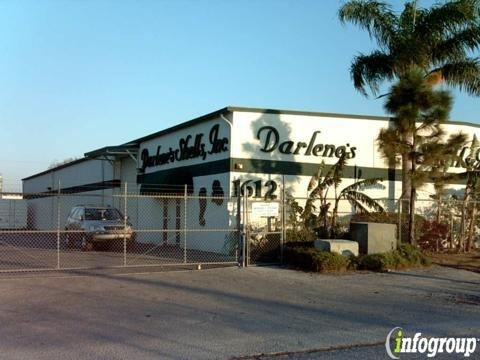Darlene's Shells